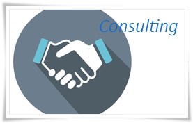 Consulting