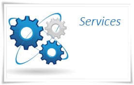 Professional Services